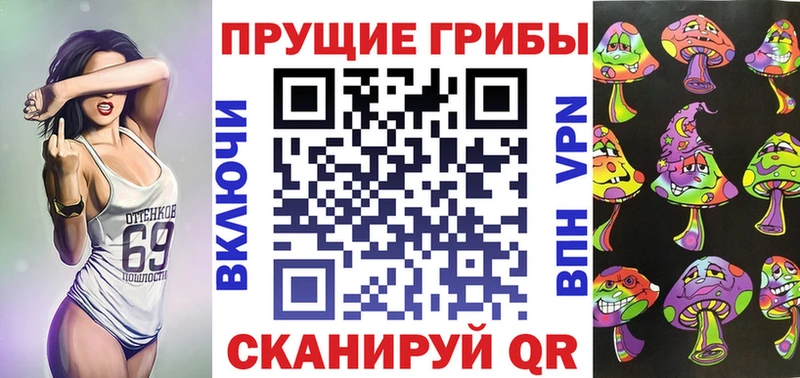Псилоцибиновые грибы Cubensis Аргун